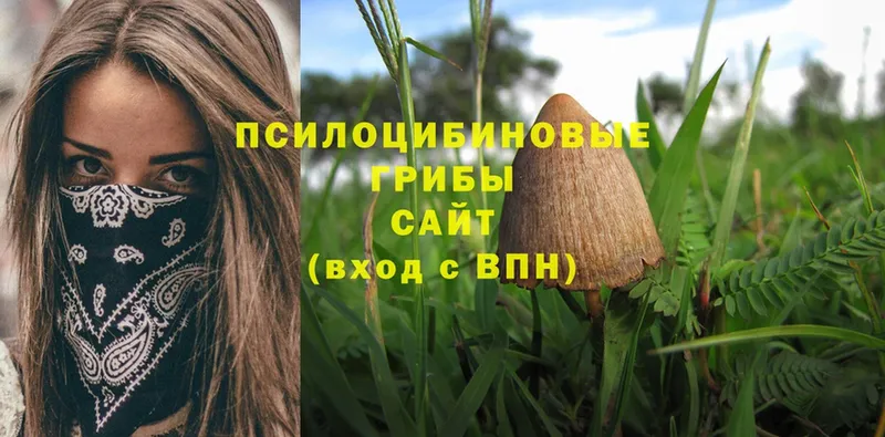 Галлюциногенные грибы Magic Shrooms  купить наркотик  Кондопога 